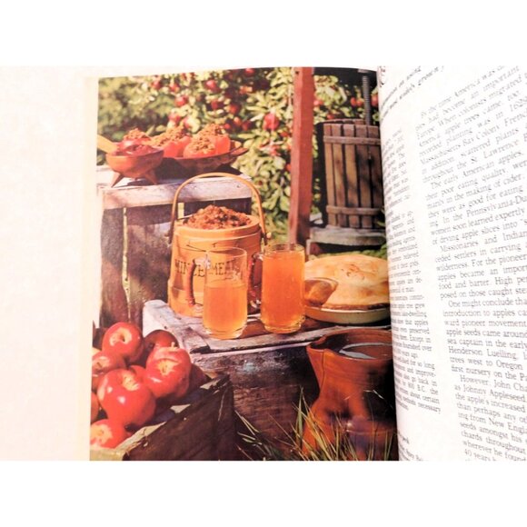 Better Homes and Gardens Encyclopedia of Cooking Vol 1 1970 HB Cookbook - Picture 7 of 7